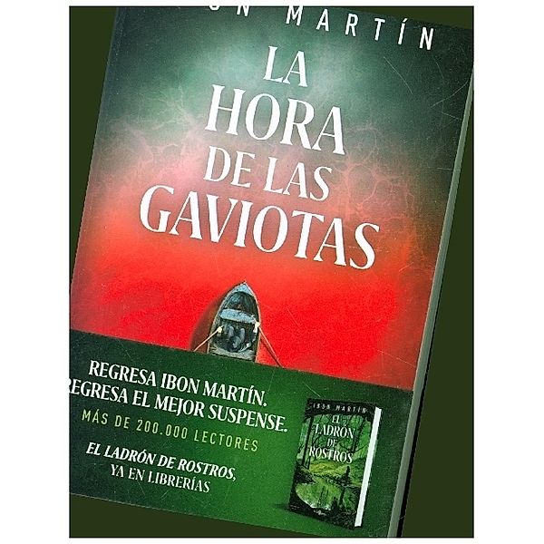 La hora de las gaviotas (Inspectora Ane Cestero 2), Ibon Martin