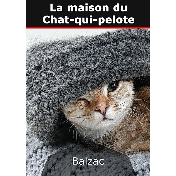 La maison du Chat-qui-pelote, Honoré de Balzac