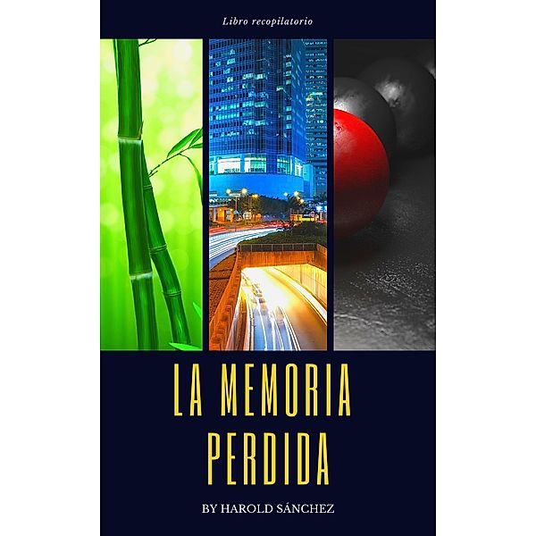 La Memoria Perdida - Libro Recopilatorio, Harold Sanchez