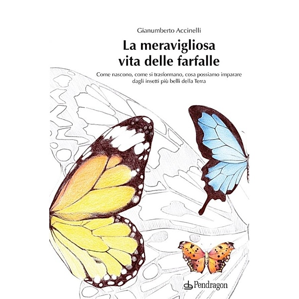 La meravigliosa vita delle farfalle, Gianumberto Accinelli