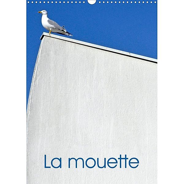La mouette (Calendrier mural 2023 DIN A3 vertical), Patrice Thébault