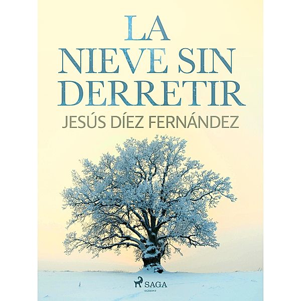 La nieve sin derretir, Jesús Díez Fernández