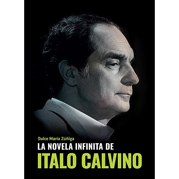 La novela infinita de Italo Calvino, Dulce María Zuñiga