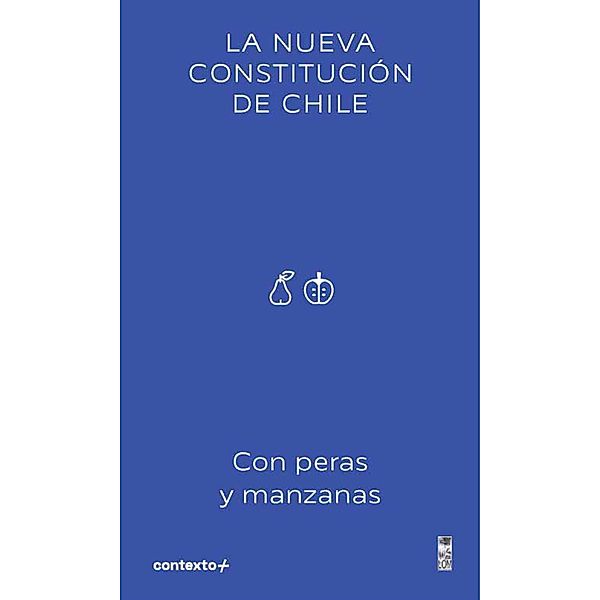 La nueva Constitución de Chile, Amy Kershenbaum
