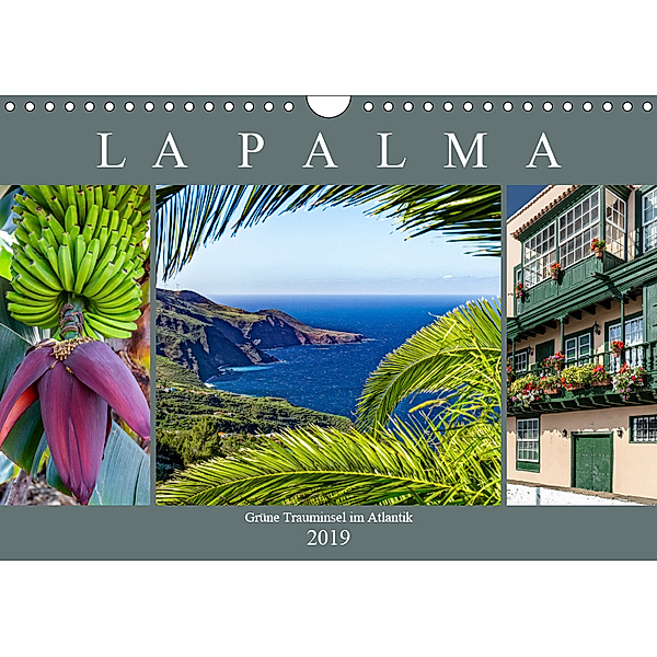 La Palma - Grüne Trauminsel im Atlantik (Wandkalender 2019 DIN A4 quer), Dieter Meyer
