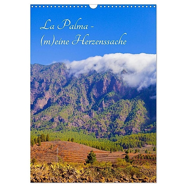 La Palma - (m)eine Herzenssache (Wandkalender 2024 DIN A3 hoch), CALVENDO Monatskalender, Micaela Abel