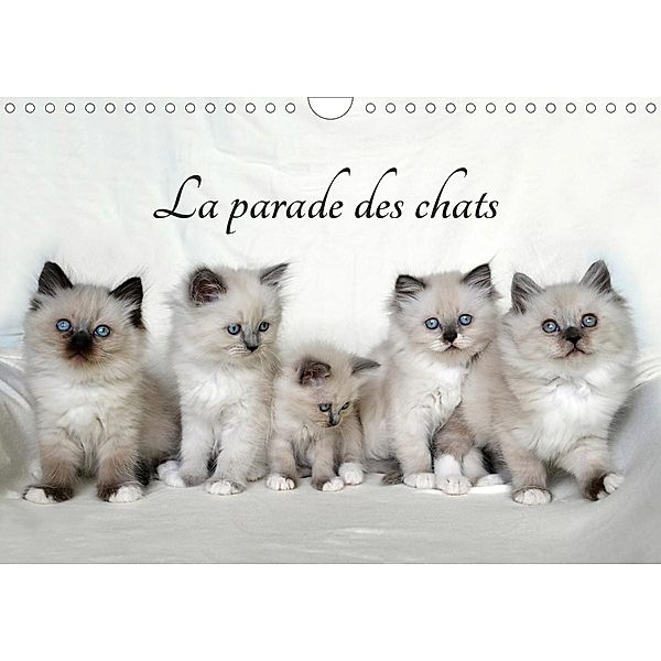 La parade des chats (Calendrier mural 2021 DIN A4 horizontal), Jennifer Chrystal