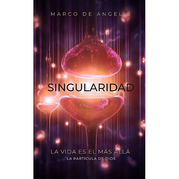 La partícula de Dios: Singularidad, Marco de Ángelis