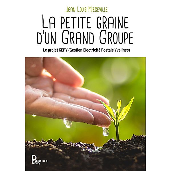 La petite graine d'un Grand Groupe, Jean Louis Miegeville