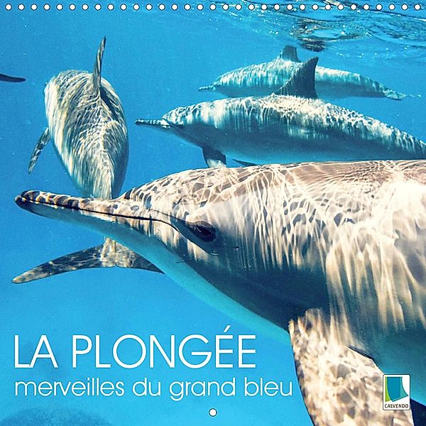 La plongée : merveilles du grand bleu (Calendrier mural 2021 300 × 300 mm Square)