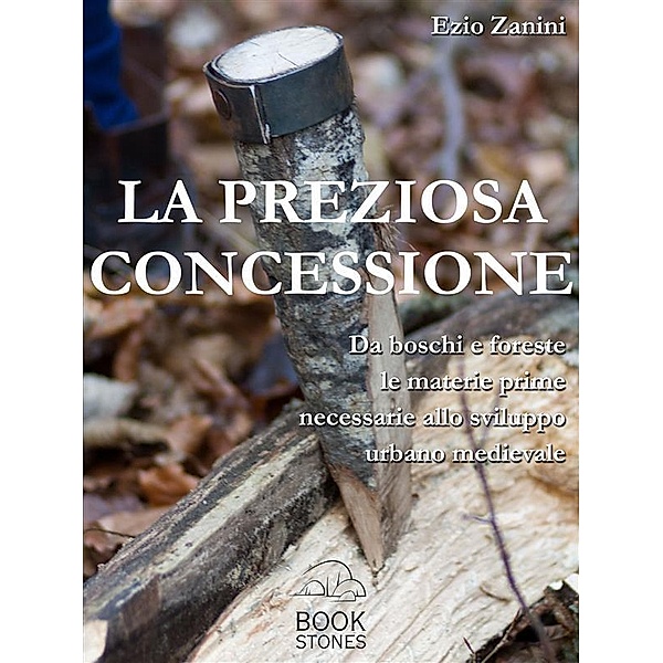 La preziosa concessione / Living History Bd.1, Ezio Zanini