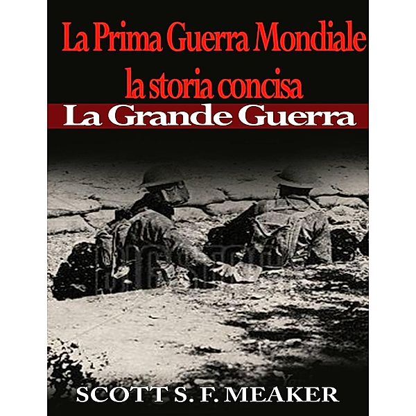 La Prima Guerra Mondiale: la storia concisa - La Grande Guerra, Scott S. F. Meaker