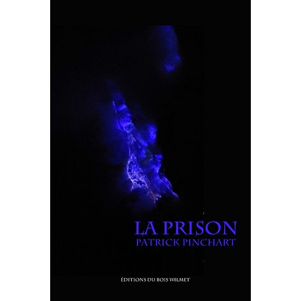 La prison, Patrick Pinchart