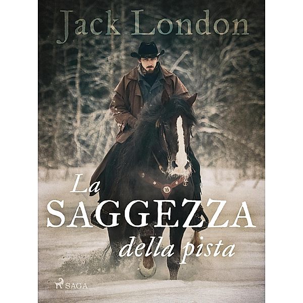 La saggezza della pista / La legge della vita e altri racconti Bd.3, Jack London