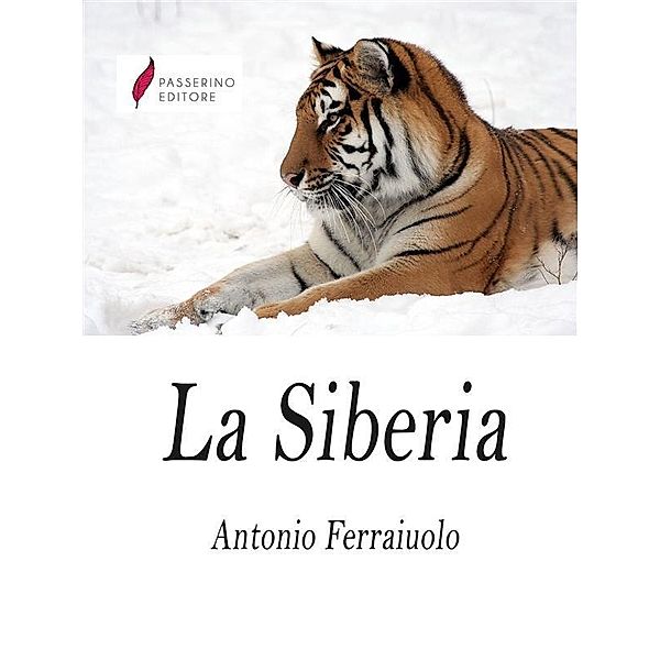 La Siberia, Antonio Ferraiuolo