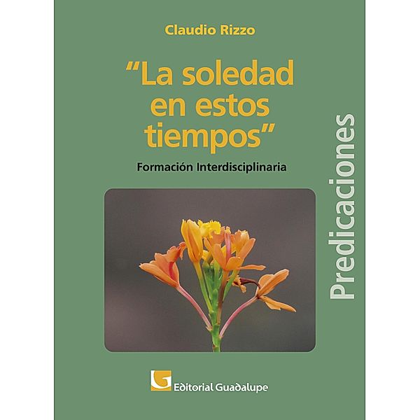 La soledad en nuestros tiempos / Predicaciones Bd.3, Claudio Rizzo