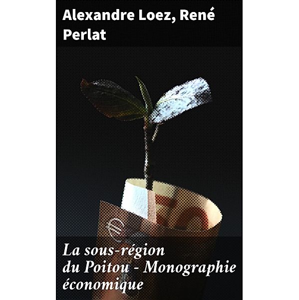 La sous-région du Poitou - Monographie économique, Alexandre Loez, René Perlat