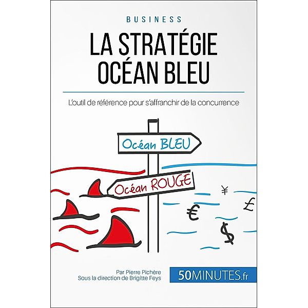 La Stratégie Océan Bleu, Pierre Pichère, 50minutes