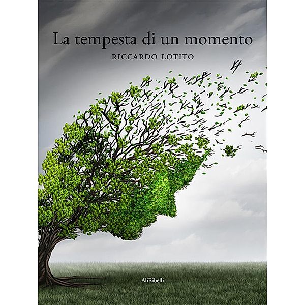 La tempesta di un momento, Riccardo Lotito