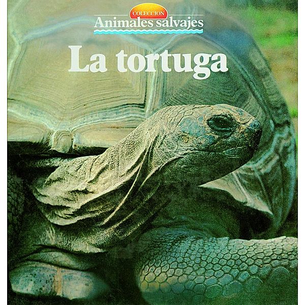 La tortuga