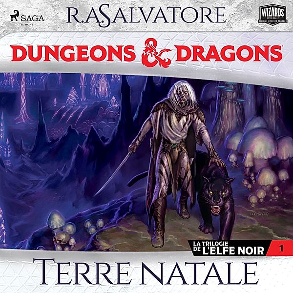 La Trilogie de l'Elfe noir - 1 - La Trilogie de l'Elfe noir - tome 1 - Terre natale, R.A. Salvatore