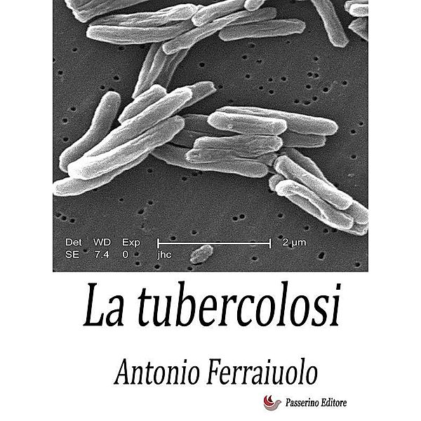 La tubercolosi, Antonio Ferraiuolo