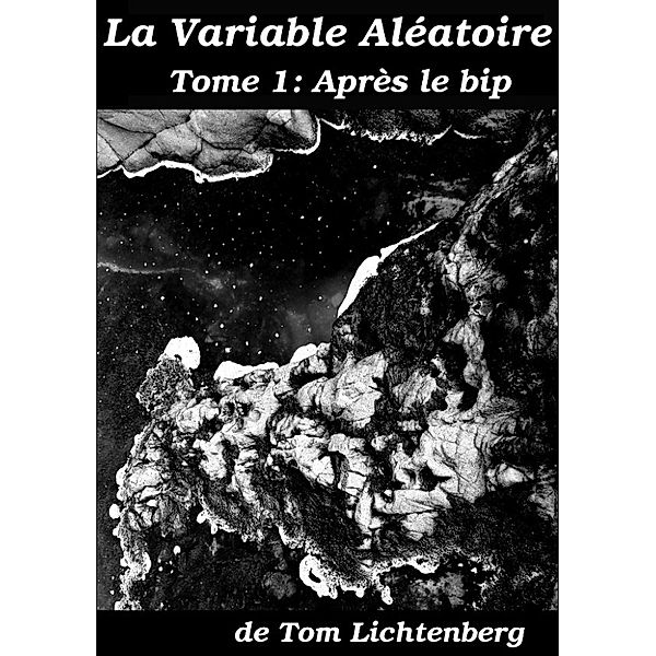 La Variable Aléatoire (Tome 1: Après le bip), Tom Lichtenberg