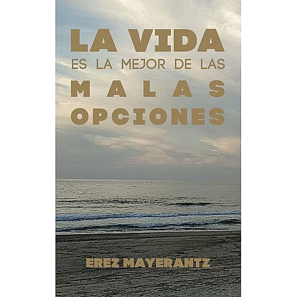 La vida es la mejor de las malas opciones, Erez Mayerantz