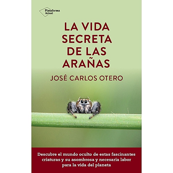 La vida secreta de las arañas, José Carlos Otero