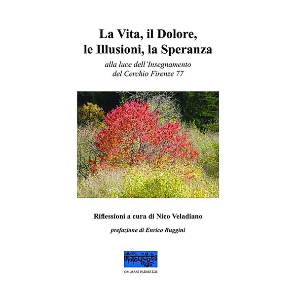 La Vita, il Dolore, le Illusioni, la Speranza, Nico Veladiano