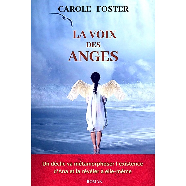 La Voix des anges / Librinova, Foster Carole Foster