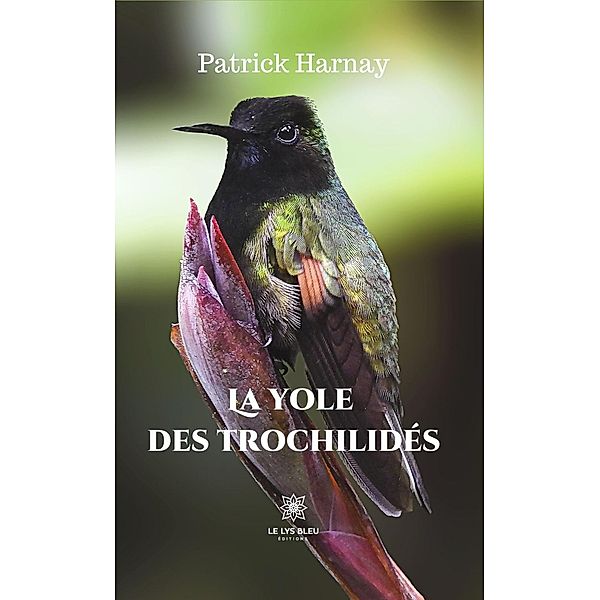 La yole des trochilidés, Patrick Harnay