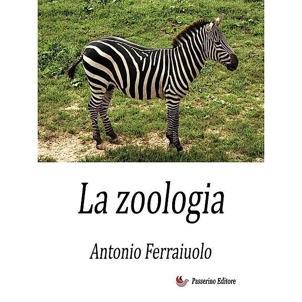La zoologia, Antonio Ferraiuolo