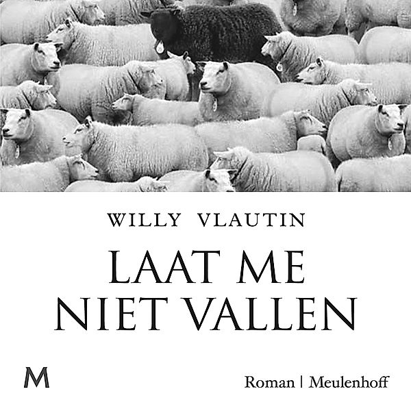 Laat me niet vallen, Willy Vlautin