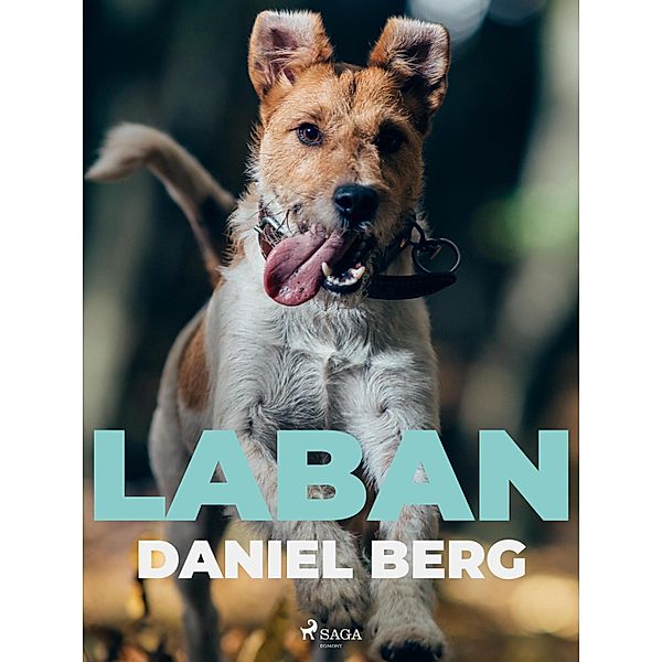 Laban, Daniel Berg