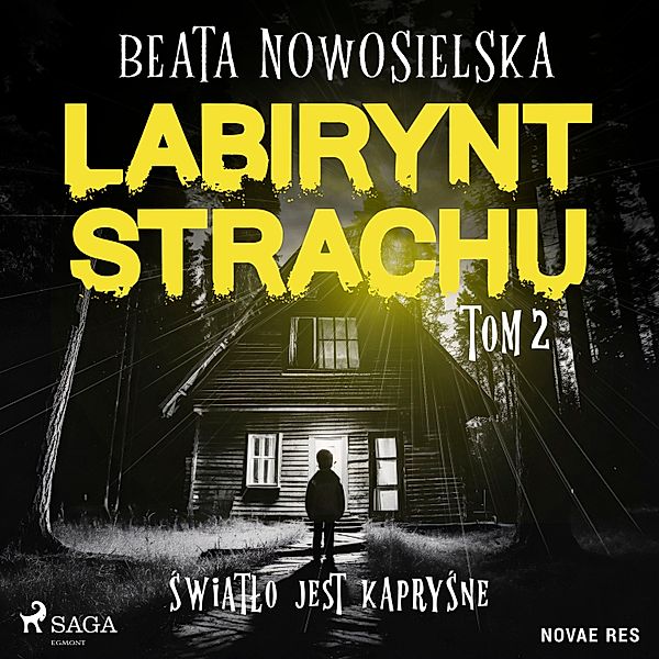 Labirynt strachu - 2 - Labirynt strachu. Tom 2. Światło jest kapryśne, Beata Nowosielska