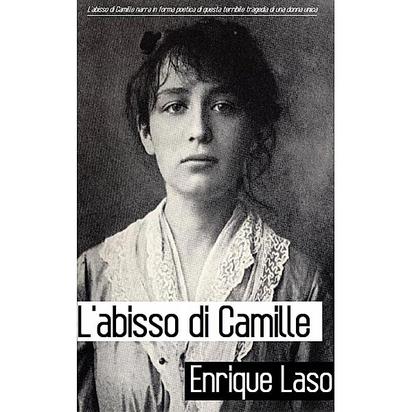 L'abisso di Camille, Enrique Laso