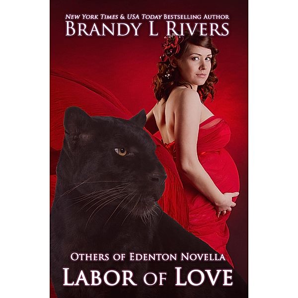Labor of Love / Brandy L Rivers, Brandy L Rivers