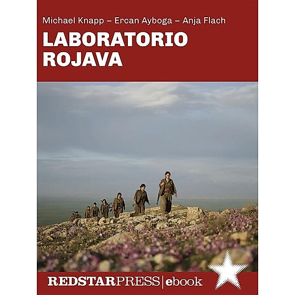 Laboratorio Rojava, Michael Knapp, Ercan Ayboga, Anja Flach