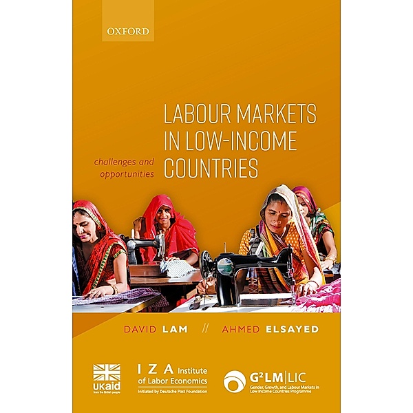 Labour Markets in Low-Income Countries, David Lam, Ahmed Elsayed