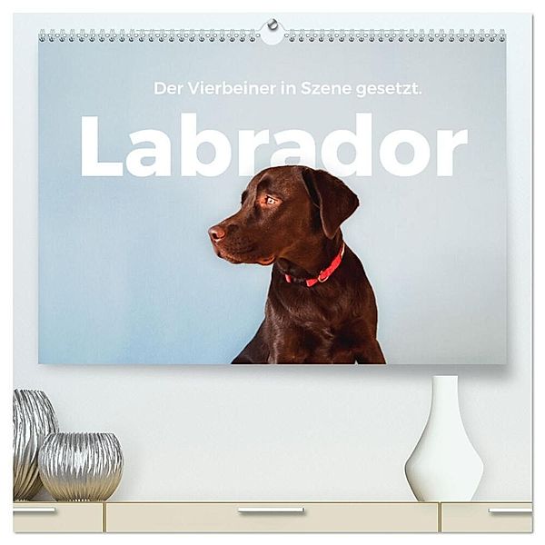 Labrador - Der Vierbeiner in Szene gesetzt. (hochwertiger Premium Wandkalender 2024 DIN A2 quer), Kunstdruck in Hochglanz, M. Scott