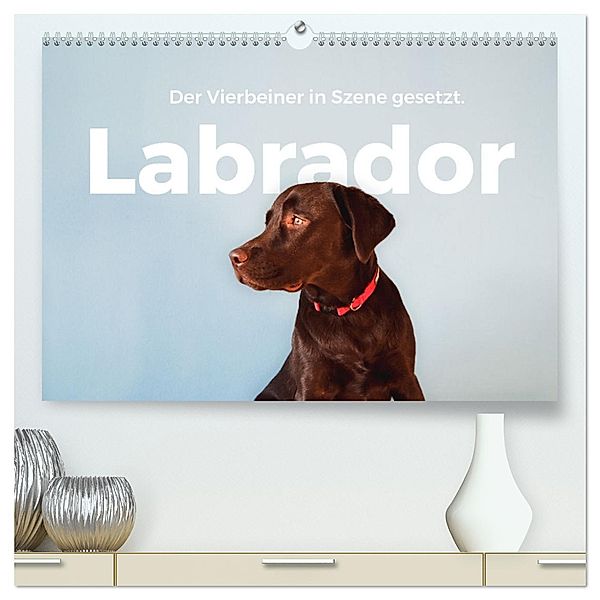 Labrador - Der Vierbeiner in Szene gesetzt. (hochwertiger Premium Wandkalender 2025 DIN A2 quer), Kunstdruck in Hochglanz, Calvendo, M. Scott