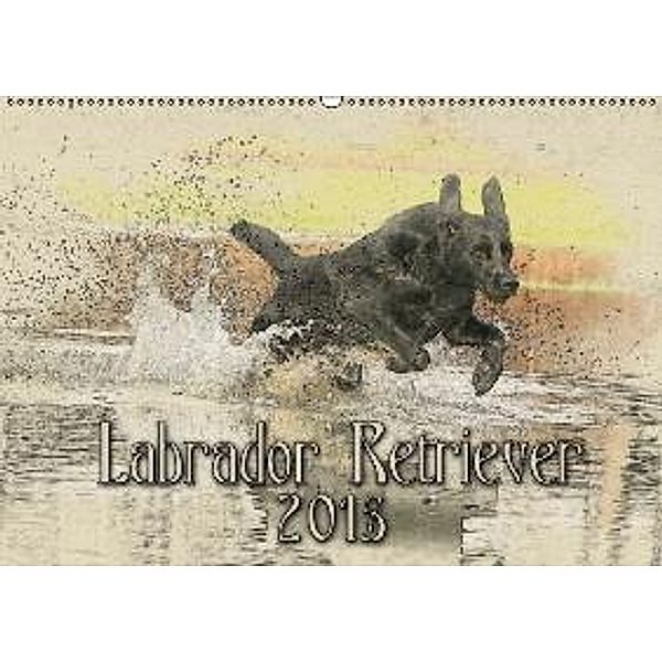 Labrador Retriever 2015 (Wandkalender 2015 DIN A2 quer), Andrea Redecker