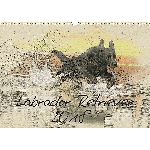 Labrador Retriever 2018 (Wandkalender 2018 DIN A3 quer), Andrea Redecker