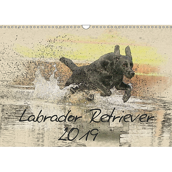 Labrador Retriever 2019 (Wandkalender 2019 DIN A3 quer), Andrea Redecker