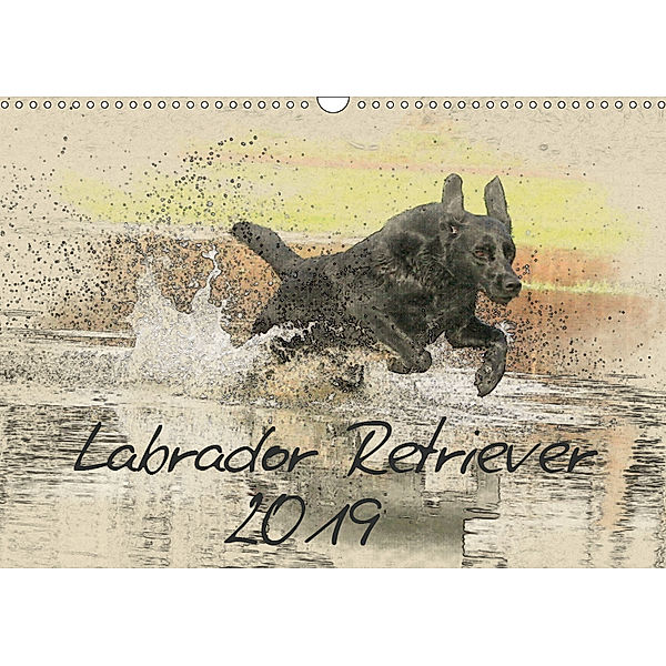Labrador Retriever 2019 (Wandkalender 2019 DIN A3 quer), Andrea Redecker