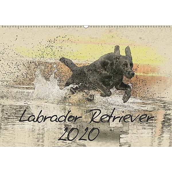 Labrador Retriever 2020 (Wandkalender 2020 DIN A2 quer), Andrea Redecker