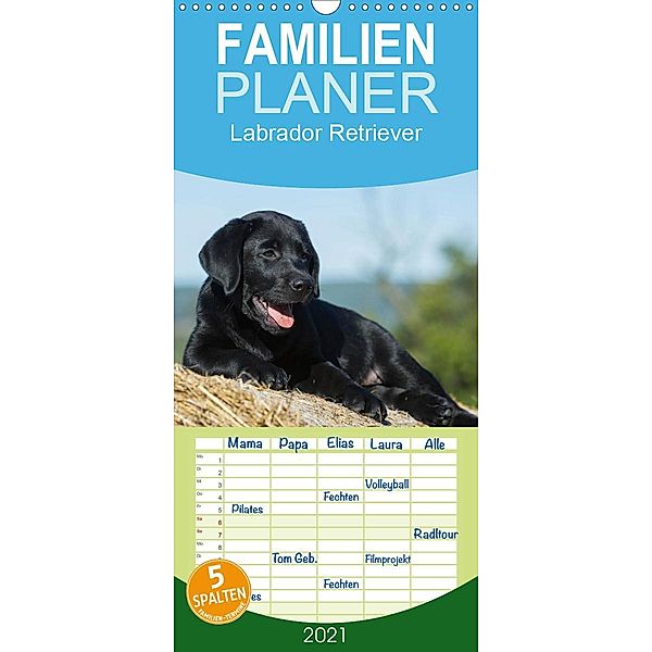 Labrador Retriever 2021 - Familienplaner hoch (Wandkalender 2021 , 21 cm x 45 cm, hoch), Sigrid Starick