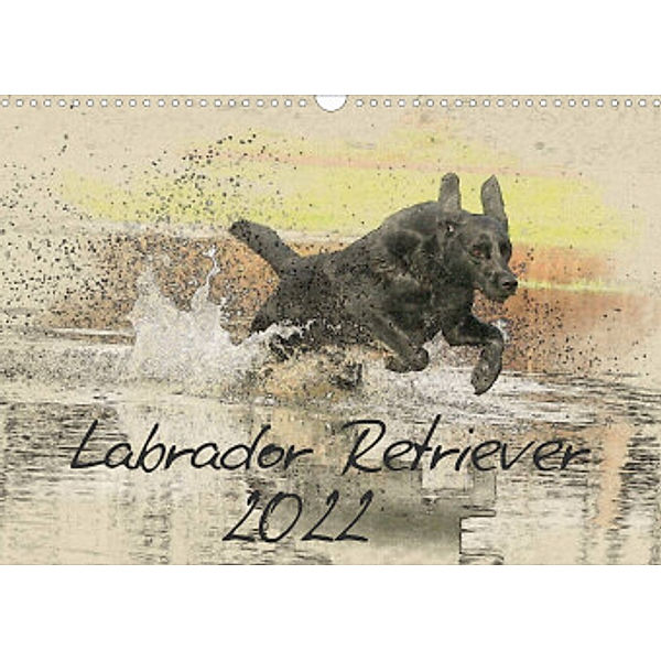 Labrador Retriever 2022 (Wandkalender 2022 DIN A3 quer), Andrea Redecker