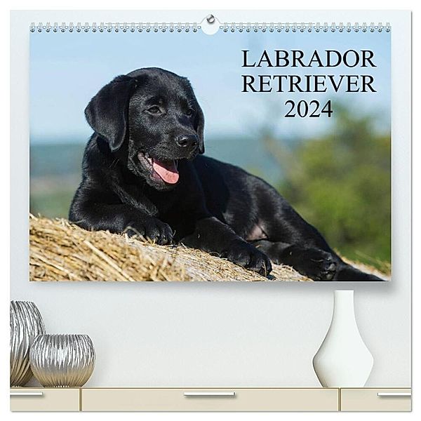 Labrador Retriever 2024 (hochwertiger Premium Wandkalender 2024 DIN A2 quer), Kunstdruck in Hochglanz, Sigrid Starick